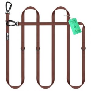 BLUZELLE Laisse Chien 3m Imperméable, Longe Biothane PVC Ajustable Réglable, Laisse Double pour 2 Chiens Laisse Mains Libres, 2X Grand Mousqueton 360° en Aluminium Extra Solide, Couleur:Marrone (BF-Commerce GmbH, neuf)