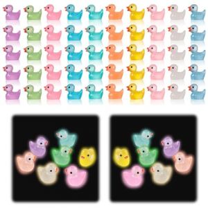 Wondsea 100pcs Mini Canards Lumineux en RéSine,Mini Canard en Résine,Canard Miniature,ColoréEs pour Jardin Mignons Canard,Mini Canards Décoration de Maison de poupée DIY Terrarium pour Jardin (FLYGJNS, neuf)