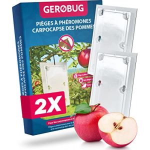 Piège à phéromones pour carpocapse Pommier 2 pièces - Pièges à phéromone Contre Le Ver des Pommes - Design de Produit respectueux des Oiseaux y Compris 2 Fils d'attache (RGO Expert GmbH, neuf)