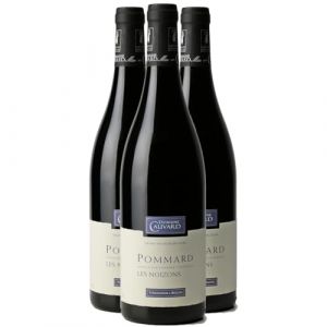Pommard Les Noizons - Rouge 2023 - Domaine Cauvard - Vin Rouge de Bourgogne (3x75cl) (e-boissons, neuf)