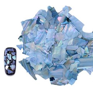 Ranvi Nail Jewelry Coquille Paillette Abalone Slice Nail Patch Paillettes D&eacute;coratives (RuiyingTech-EU, neuf)