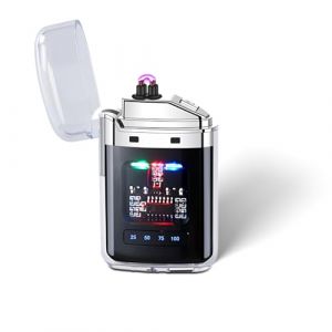 EleBikk Briquet électronique, Briquet Rechargeable Type-C, Bri-Quet à Arc électrique Double, Affichage de Puissance LED, Plasma à Double Arc Coupe-Vent, Compact et Facile à Transporter (pingniao, neuf)