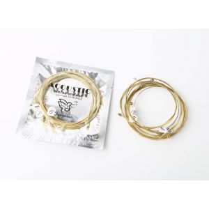 zalati Lot de 6 cordes de rechange pour guitare acoustique en bois Couleur laiton (zalati EU, neuf)