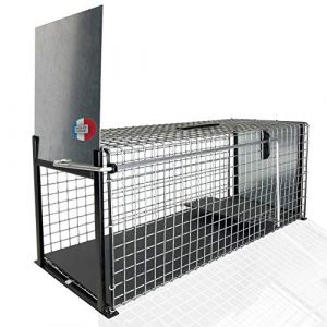 Grand piège à chat 78X31X31 cm pour attraper et capturer les chats Capture et attrape les autres animaux, chat errant et autres nuisibles Cette cage possède deux trappes, caisse de transport (Js DistriWeb, neuf)