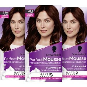 Schwarzkopf Perfect Mousse Lot de 1 tubes de mousse permanente 388 niveaux 3 | brun rougeâtre foncé | Lot de 3 | 3 x 93 ml (Zeitburg Schmuck & Uhren, neuf)