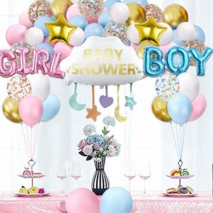 D&eacute;corations pour la f&ecirc;te de r&eacute;v&eacute;lation du sexe du b&eacute;b&eacute;, Pastel Pink and Blue Confetti Balloons Arch Kit Star Hanging Cloud Garland Gender Reveal Baby Shower Party Supplies (WeiMingyang, neuf)