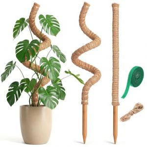 Acsatont 2 Tuteurs en Mousse,60 cm et 120 cm,Tuteurs en Fibre de Coco pour Faire Pousser des Plantes Grimpantes,Tuteurs en Mousse Faits Main avec Accessoires pour Plantes D'Int&eacute;rieur (ACS COMPILATION S.R.L., neuf)