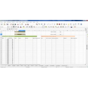 Fichier Comptabilit&eacute; Livre de compte Journal Micro entreprise, Auto Entreprise - Registre des Recettes et des Achats - Format Excel, Libre Office - Facile et Personnalisable (Elastrap France, neuf)