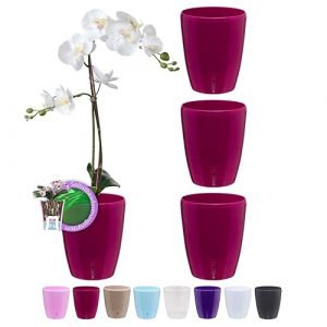 Santino ORCHIDEA Lot de 4 Pots à Orchidée avec Système de Mèche et Indicateur de Niveau d'eau (Diamètre: 12 cm, 1,3 L, Mauve) (Gartenlux, neuf)