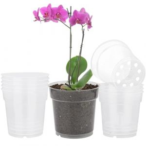 TSKDKIT 10 pièces 11.5cm Pot Fleurs Transparents Petits Pots à Orchidée Plastique pour Jardin, Balcon, etc (TSKD-FR, neuf)