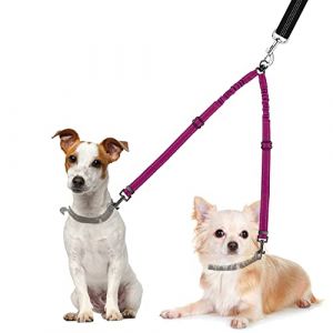 Nasjac Laisse pour Chien Double, sans enchev&ecirc;trement diviseur &agrave; Double Laisse Rotation pivotante &agrave; 360 &deg; R&eacute;fl&eacute;chissant Longueur r&eacute;glable Coupleur pour Deux Chiens (LEAITU UK, neuf)