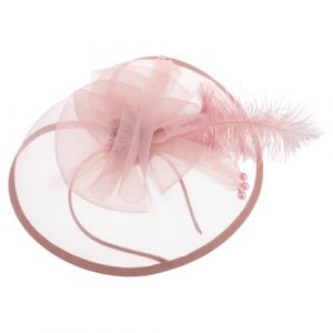 Ipetboom Serre-t&ecirc;te Bibi pour Femme avec Plumes Pince &agrave; Cheveux Bibi pour Mariage Coiffure &Eacute;l&eacute;gante (hikarish, neuf)