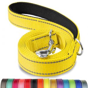 Joytale Laisse Double Face Réfléchissante Robuste pour Chien, avec Poignée Rembourée, 1.5m x 2.5cm, Jaune (Joytale Pet, neuf)