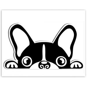 SkinoEu® 1 x Autocollant Sticker Vinyle Chien Bouledogue Français Dog Voiture Camion Fenêtre Porte Auto Moto Vélo B 88 (SkinoEu®, neuf)