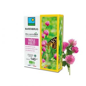 BARENBRUG - Tr&egrave;fle violet BIO - Enrichit le Sol - Restructure le Sol - R&eacute;siste au Gel - Restitue les &Eacute;l&eacute;ments Nutritifs aux Futures Cultures - Fabriqu&eacute; en France - 500G (Barenbrug, neuf)