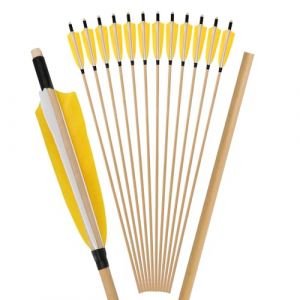 Flèche en Bois en Plume de Dinde 6/12Pcs 5 inch Shields Turkey Feather Diamètre 8mm Flèche d'entraînement pour la Chasse (12, Jaune) (YCR Sports, neuf)