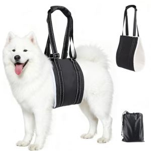 QingWing Harnais pour Chien Handicap&eacute;, Assistance Harnais Soutien pour Pattes Arri&egrave;re, R&eacute;glable Hundegeschirr, Porte Chien Convient aux Chiens Handicap&eacute;s, Bless&eacute;s et Ag&eacute;s(L) (JINGYOUKEJI, neuf)