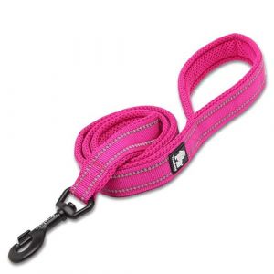 TRUE LOVE Laisse Réfléchissante pour Chien Longueur 110cm TLL2111 (Fuchsia, M) (Truelove Pet Garment and Shoes Co.Ltd., neuf)