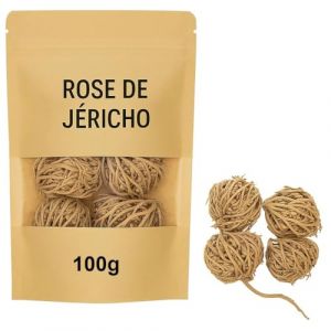 Rose de J&eacute;richo 100 g &ndash; Chajarat Mariam Naturelle | Fleur de R&eacute;surrection du Sahara | Fertilit&eacute;, Renaissance & Purification &Eacute;nerg&eacute;tique | 100% Authentique et R&eacute;utilisable (Artisanat & Confort, neuf)