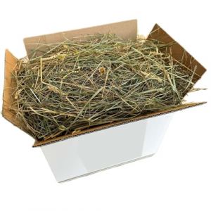 Foin naturel pour lapins 5 kg | Danse de foin italien de prairie de montagne s&eacute;ch&eacute;e au soleil | Nourriture pour cochons d'Inde, Chinchilla, lapins nains, chevaux, poulets et rongeurs (Vibe Pushers, neuf)