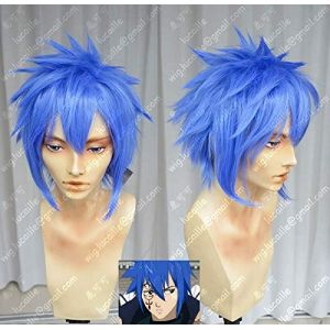 Anime Fairy Tail Jellal Fernandes Cosplay Wig Blue Heat Resistant Synthetic Hair Wig + Wig Cap (good stuff A, neuf)
