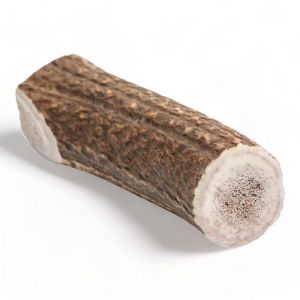 Bois de Cerf pour Chiens - Fabriqués à Partir de Bois de Cerf Rouge Naturel et Sélectionné avec Soin, Riche en Protéines et en Minéraux. - XL (226-270g) (JV trade, neuf)