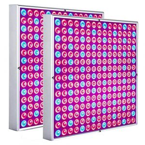Lospitch 2pcs 15W Lampe Horticole LED Croissance Floraison, Lampe de Culture LED Grow Light Indoor 225LEDs Lumière Rouge et Bleue, LED de Croissance à Spectre Complet pour Plantes Ensemencant (Bessie Moss Shop, neuf)