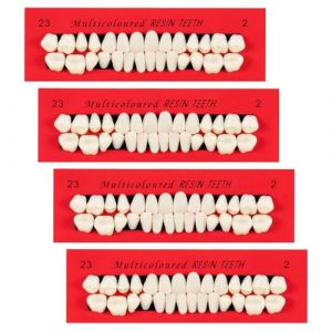 4 Pi&egrave;ces Fausses Dents en R&eacute;Sine Synth&eacute;Tique, Dent de R&eacute;sine Synth&eacute;tique Proth&egrave;se, 112 Dents Artificielles pour Cosplay, Remplissage de Dents Manquantes, Mod&egrave;les &Eacute;ducatifs, Teinte A2 (BenCo, neuf)
