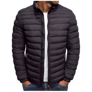 RLEHJN Manteau Homme Hiver Doudoune Homme Legere Et Chaude Hiver Veste Chic sans Capuche Col Mao Veste Matelassée Zipper Blousons Couleur Unie Décontractée AVCE Poches Automne Jacket (⭐⭐⭐⭐⭐RLEHJN, neuf)
