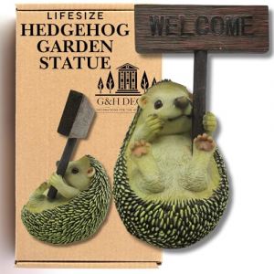 G&H Decor Ornement de Jardin en Forme de h&eacute;risson - Statue de Bienvenue pour Animaux de 15 cm - Cadeaux Peints &agrave; la Main en Forme de h&eacute;risson - Ornement en Forme de h&eacute;risson r&eacute;sistant aux intemp&eacute;ries (Greyhawk Trading UK, neuf)