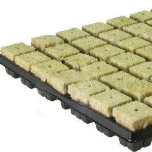 PETSTIBLE Lot de 100 cubes en laine de roche, adapt&eacute;s pour la culture et la colonisation de diverses plantes, pour fournitures (25 x 25 x 40 mm) (50 pi&egrave;ces) (homegard, neuf)