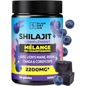 5 elementum Shilajit Gummies Pure Himalaya – 90 Gommes Sans Sucre 2200mg – Avec Reishi, Crinière de Lion, Chaga & Cordyceps – Complément Végétal Naturel – Vegan – Goût Agréable (M. ROSENFELD Germany., neuf)