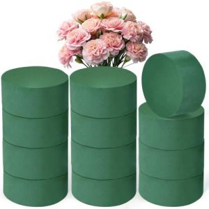 UHETLET 12 Pi&egrave;ces Mousse Fleuriste 8x4cm Cylindres Mousse Florale Mousse Fleur a Piquer Bloc de Mousses pour Fleurs Ronde Vert Mousse Artificielle Bloc Mousse Florale pour Mariages, F&ecirc;tes, Jardin (Smaejhgmlsbj, neuf)