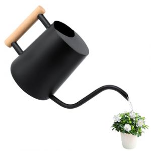 Arrosoir 1 l, arrosoir pour plantes d'intérieur - Arrosoir avec long bec et poignée en bois confortable - Arrosoir en acier inoxydable noir pour plantes en pot - Plantes succulentes - Arrosoir de (STOREVENTURASTEFANO, neuf)