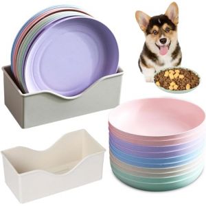 Set de Gamelle Chat, Bol Nourriture, Plates Peu Profondes, Plat Assiette Chat R&eacute;gime, &Eacute;cuelle Plateau Gamelle de Nourriture pour Int&eacute;rieur,Plastique,R&eacute;utilisable,Taille Universelle (ZonQ, neuf)