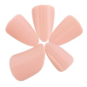 BESPORTBLE 1 Ensemble Faux Ongles Pipa pour D&eacute;butants et Gar&ccedil;on Fille avec Protection Digitale Accessoires pour Pipa pour &Eacute;cole Pratique &agrave; Domicile et Performances Musicales (Breeze & Leaves, neuf)