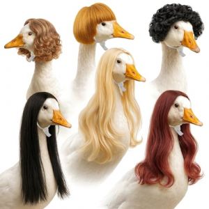 BOSREROY Lot de 6 bonnets de perruque d'oie pour une décoration de jardin élégante, des tenues amusantes d'oie et de porche, couleurs vives (kasunos, neuf)