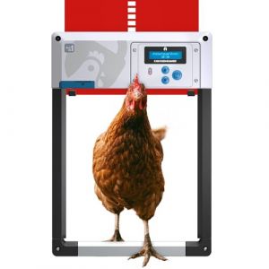 Porte poulailler Automatique 'ChickenGuard All-in-One'. Écran LCD programmable, Mode Hiver Puissant, Capteur de Lumière/Minuterie, Arrêt de Sécurité, Porte/Trappe en Aluminium (Rouge + Piles) (Doodlehouses SL, neuf)
