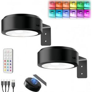 Lampe Tableau sans Fil Rechargeable, Applique Murale Intérieure avec Telecommande Eclairage Tableau LED Batterie de Lumiere Vitrine USB Spot LED à Piles Adhesif pour Placard Bibliothèque Image (TJITGY Direct, neuf)
