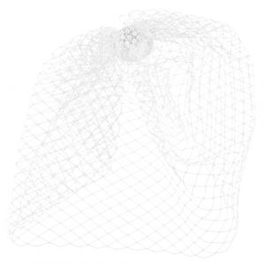 LRXIYODE Voile Cage &agrave; Oiseaux Blanc en Maille pour Mariage Accessoire de Coiffure pour Mari&eacute;e Voile Cage &agrave; Oiseaux Visage Coiffes de Mari&eacute;e &Eacute;l&eacute;gantes et L&eacute;g&egrave;res (XPWU, neuf)