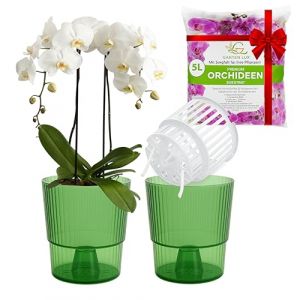 Garten lux Lot de 10 Pots &agrave; orchid&eacute;e en Plastique Transparent avec Trous - Diam&egrave;tre : 17 cm - Hauteur : 13 cm - pour orchid&eacute;es - pour l'int&eacute;rieur - 1,5 l (Gartenlux, neuf)