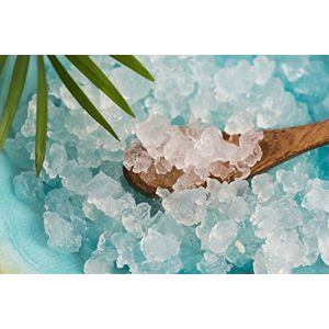 Grains de kéfir à l’eau, probiotiques, cristaux d'eau japonais, pour kombucha – 50 g (Kombuchaorganic, neuf)