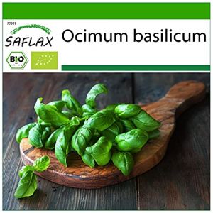 SAFLAX - BIO - Basilic - G&eacute;nois - 800 graines - Ocimum basilicum (SAFLAX, neuf)
