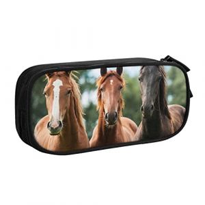 FLYIFE Grande trousse à crayons avec 2 compartiments - Motif chevaux - Pour filles, garçons, étudiants, école, bureau, université, Noir , Taille unique, Cartable (xiehuaLJFDY, neuf)