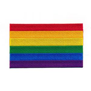 30 x 20 mm Drapeau arc-en-ciel Lgbt Pride Flag Patch écusson thermocollant 1035 Mini (hegibaer, neuf)