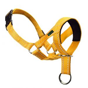 ILEPARK Licol pour Chien, Harnais Coloré pour Empêcher Les Chiens de Tirer, Licol de Tête Réglable (M,Jaune) (Rock Pet, neuf)