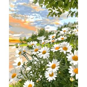 Maysurban Peinture par Numero Adulte sans Cadre, DIY Kit de Peinture à l'huile Numéros Toile Enfants Paint by Numbers Peindre par Nombre 40x50cm (jingzhusm2021eu, neuf)