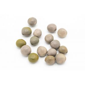 CLUB AWALE - 50 graines Naturelles de Casalpina Bonduc - Awal&eacute; Artisanal - Jeu de strat&eacute;gie Authentique Africain (Club Awal&eacute;, neuf)