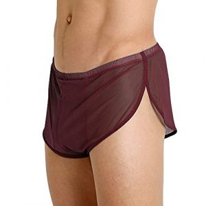 Hommes Shorts en Maille avec De Grands Côtés Fendus sous-vêtements Boxers Slips Résille Maillot De Bain Transparent 90012café L (GymApe, neuf)