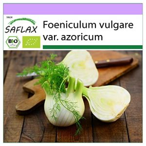 SAFLAX - BIO - Fenouil doux - 100 graines - Foeniculum vulgare (SAFLAX, neuf)